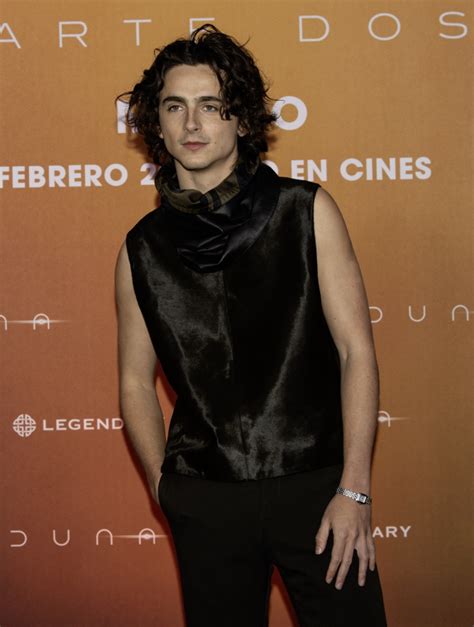 timothee chalamet hermes|timothee chalamet dune press.